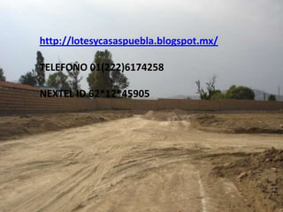 http://lotesycasaspuebla.blogspot.mx/

TELEFONO 01(222)6174258

NEXTEL ID 62*12*45905
 