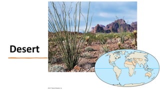 Desert
 