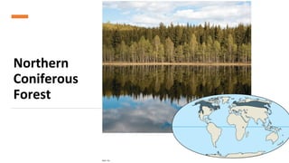 Northern
Coniferous
Forest
 