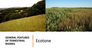 GENERAL FEATURES
OF TERRESTRIAL
BIOMES
Ecotone
 