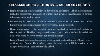 CHALLENGE FOR TERRESTRIAL BIODIVERSITY
• Rapid urbanization, especially in developing countries. Urban development
includes substantial increase of public and private investments in urban
infrastructures and services.
• Decreasing in food and nutrition security continues to defect and cause
hunger and malnourishment when terrestrial not protected.
• Government point up is no strict laws are applied to protect and maintain
the terrestrial. Besides, may spend many cost to do sustainable activities
and focus more on development for national image.
• Loss of forest due to deforestation gives impact to distribution of biodiversity
of flora and fauna. Thus when forest damage, the wildlife species is in
danger because of their habitat disturbed.
 