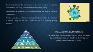 Biodiversity forms the foundation of the vast array of ecosystem
services that critically contribute to human well-being.
Biodiversity is important in human-managed as well as natural
ecosystems.
Plants, animal and climate work together to maintain the balance
of nature. They act as nuts, boots and oil of a perfectly tuned
machine.
PYRAMID OF BIODIVERSITY
Is important for sustaining life on earth because
it prevents any one species from throwing the
balance of nature out of order.
 