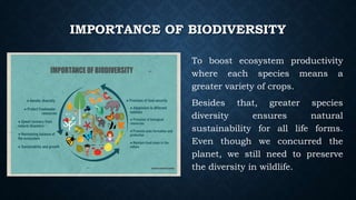 IMPORTANCE OF BIODIVERSITY
To boost ecosystem productivity
where each species means a
greater variety of crops.
Besides that, greater species
diversity ensures natural
sustainability for all life forms.
Even though we concurred the
planet, we still need to preserve
the diversity in wildlife.
 
