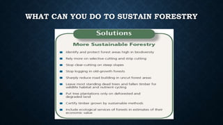 WHAT CAN YOU DO TO SUSTAIN FORESTRY
 