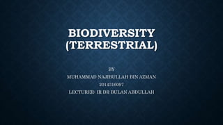 BIODIVERSITY
(TERRESTRIAL)
BY
MUHAMMAD NAJIBULLAH BIN AZMAN
2014316097
LECTURER: IR DR BULAN ABDULLAH
 