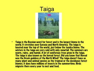Taiga




•   Taiga is the Russian word for forest and is the largest biome in the
    world. It stretches over Eurasia and North America. The taiga is
    located near the top of the world, just below the tundra biome. The
    winters in the taiga are very cold with only snowfall. The summers are
    warm, rainy, and humid. A lot of coniferous trees grow in the taiga.
    The taiga is also known as the boreal forest. Did you know that Boreal
    was the Greek goddess of the North Wind? The taiga doesn't have as
    many plant and animal species as the tropical or the deciduous forest
    biomes. It does have millions of insects in the summertime. Birds
    migrate there every year to nest and feed.
 