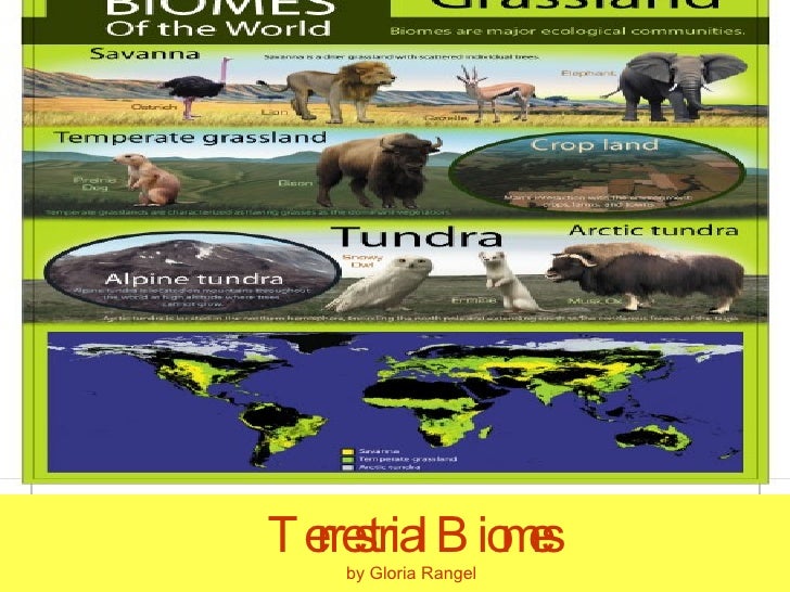 Terrestrial Biomes