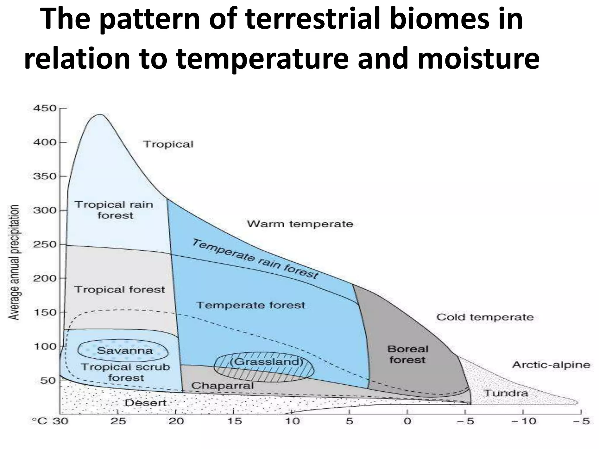 Terrestrial biomes | PPTX