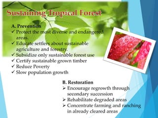 A. Prevention 
 Protect the most diverse and endangered 
areas. 
 Educate settlers about sustainable 
agriculture and forestry. 
 Subsidize only sustainable forest use 
 Certify sustainable grown timber 
 Reduce Poverty 
 Slow population growth 
B. Restoration 
 Encourage regrowth through 
secondary succession 
 Rehabilitate degraded areas 
 Concentrate farming and ranching 
in already cleared areas 
 