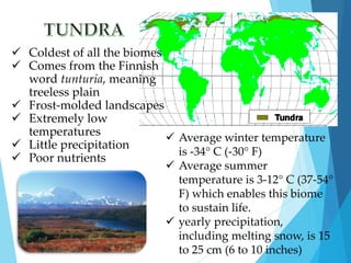  Coldest of all the biomes 
 Comes from the Finnish 
word tunturia, meaning 
treeless plain 
 Frost-molded landscapes 
 Extremely low 
temperatures 
 Little precipitation 
 Poor nutrients 
 Average winter temperature 
is -34° C (-30° F) 
 Average summer 
temperature is 3-12° C (37-54° 
F) which enables this biome 
to sustain life. 
 yearly precipitation, 
including melting snow, is 15 
to 25 cm (6 to 10 inches) 
 