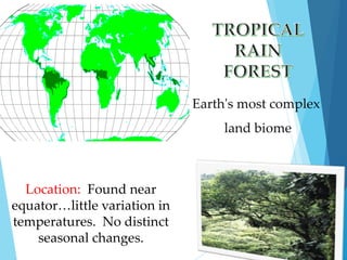 Location: Found near 
equator…little variation in 
temperatures. No distinct 
seasonal changes. 
Earth's most complex 
land biome 
 