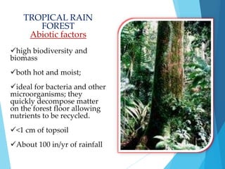TROPICAL RAIN 
FOREST 
Abiotic factors 
high biodiversity and 
biomass 
both hot and moist; 
ideal for bacteria and other 
microorganisms; they 
quickly decompose matter 
on the forest floor allowing 
nutrients to be recycled. 
<1 cm of topsoil 
About 100 in/yr of rainfall 
 
