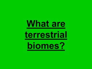 What are
terrestrial
biomes?
 