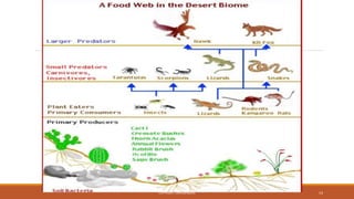 COPYRIGHT CMASSENGALE 14
 