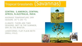 Tropical Grasslands (Savannas)
CENTRAL S.AMERICA, CENTRAL
AFRICA, N.AUSTRALIA, INDIA
AVERAGE TEMPERATURE: DRY
SEASON: 34 °C (93 °F)
CLIMATE: THERE ARE TWO
SEASONS, WET IN THE SUMMER,
DRY IN THE WINTER.
LANDFORMS: FLAT PLAIN WITH
SMALL HILLS
 