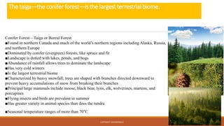COPYRIGHT CMASSENGALE 22
The taiga—the conifer forest—is the largest terrestrial biome.
Conifer Forest—Taiga or Boreal Forest
■Found in northern Canada and much of the world’s northern regions including Alaska, Russia,
and northern Europe
■Dominated by conifer (evergreen) forests, like spruce and fir
■Landscape is dotted with lakes, ponds, and bogs
■Abundance of rainfall allows trees to dominate the landscape
■Has very cold winters
■Is the largest terrestrial biome
■Characterized by heavy snowfall; trees are shaped with branches directed downward to
prevent heavy accumulations of snow from breaking their branches
■Principal large mammals include moose, black bear, lynx, elk, wolverines, martens, and
porcupines
■Flying insects and birds are prevalent in summer
■Has greater variety in animal species than does the tundra
■Seasonal temperature ranges of more than 70°C
 