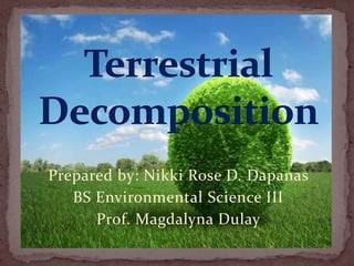 Prepared by: Nikki Rose D. Dapanas
BS Environmental Science III
Prof. Magdalyna Dulay

 