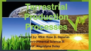 Terrestrial
Production
Processes
Prepared by: Nikki Rose D. Dapanas
BS Environmental Science III

Prof. Magdalyna Dulay

 