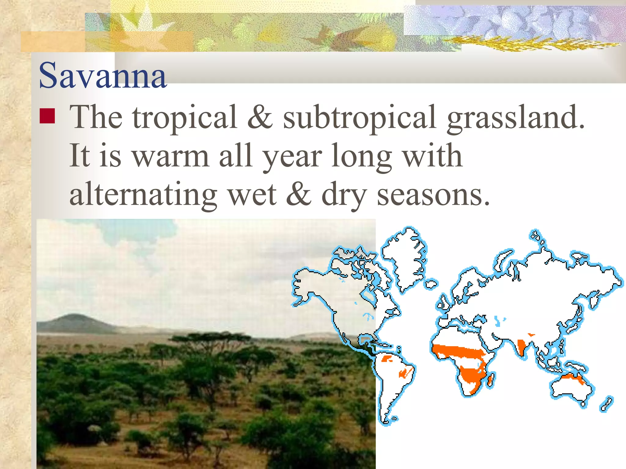 Savanna The tropical & subtropical grassland.  It is warm all year long with alternating wet & dry seasons. 