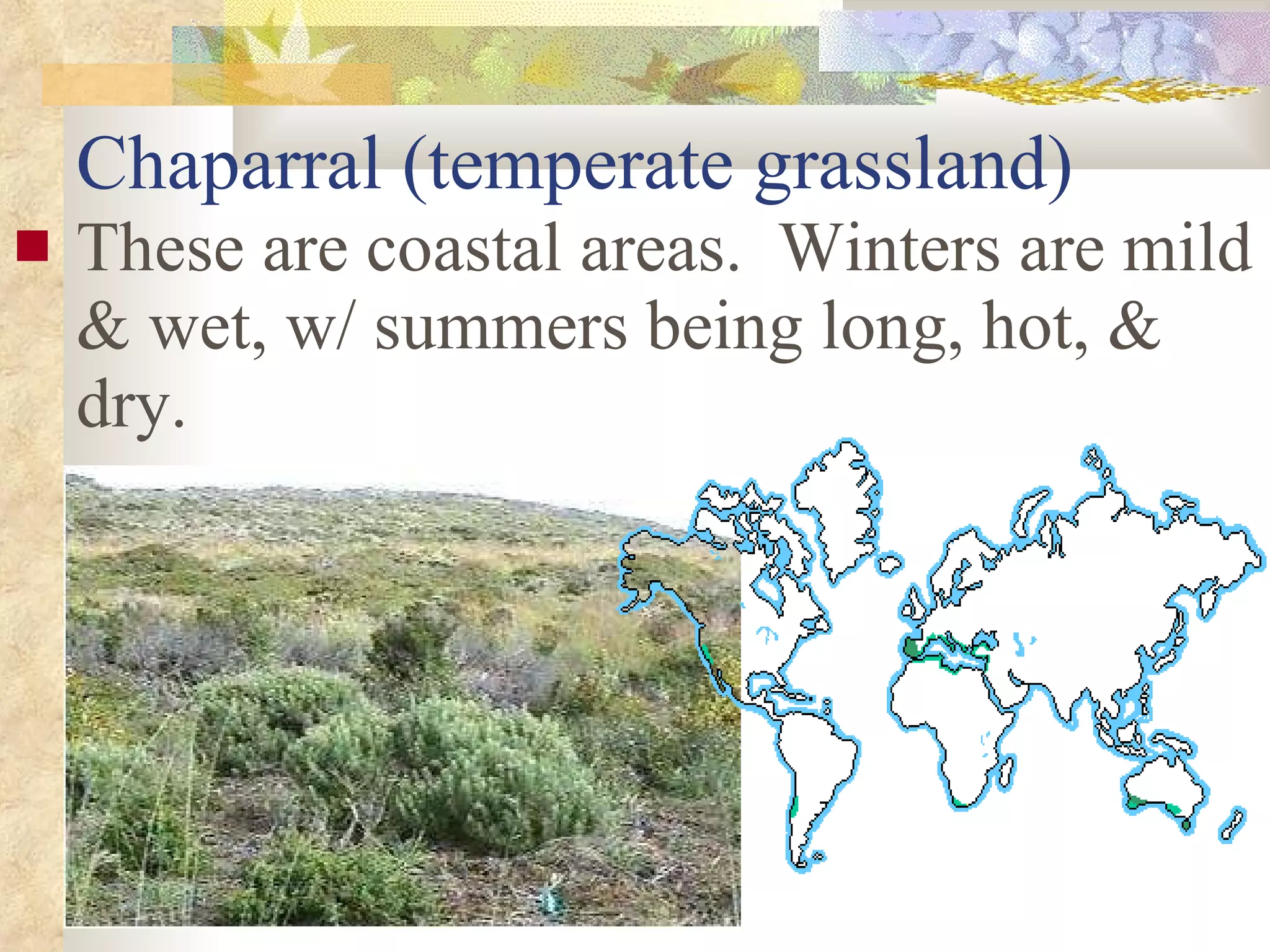Chaparral (temperate grassland) These are coastal areas.  Winters are mild & wet, w/ summers being long, hot, & dry. 