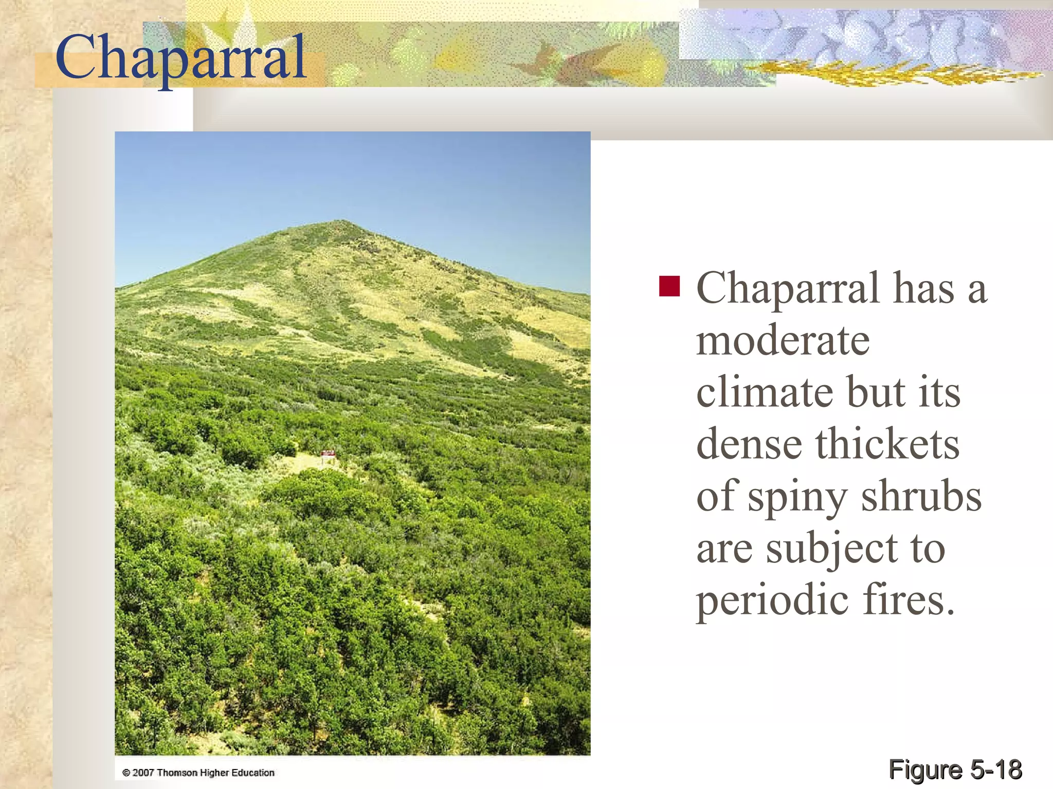 Chaparral Chaparral has a moderate climate but its dense thickets of spiny shrubs are subject to periodic fires. Figure 5-18 