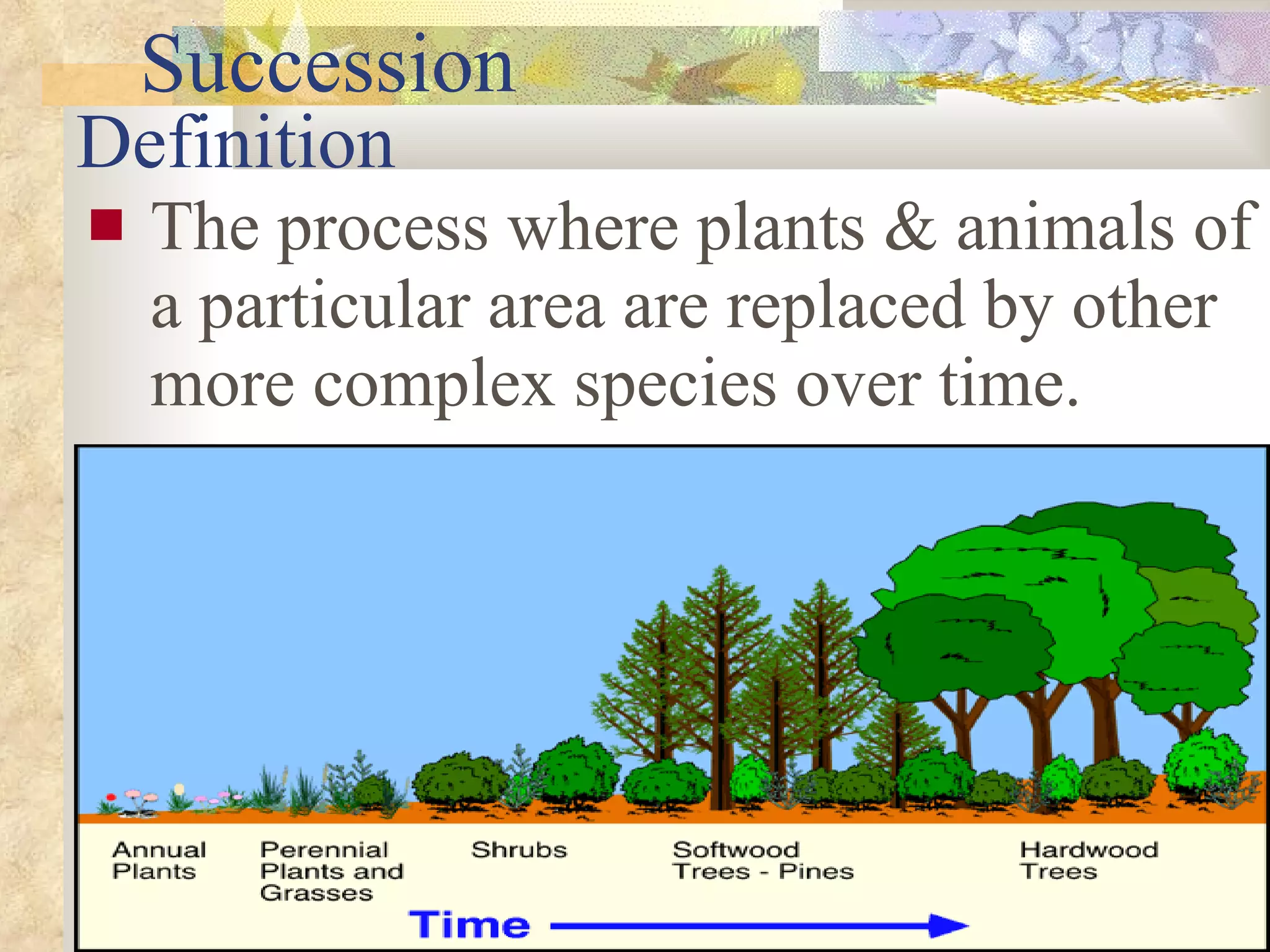 Definition The process where plants & animals of a particular area are replaced by other more complex species over time. Succession 