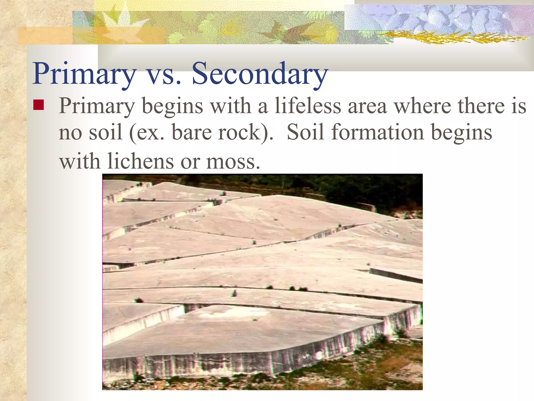 Primary vs. Secondary Primary begins with a lifeless area where there is no soil (ex. bare rock).  Soil formation begins with lichens or moss.   
