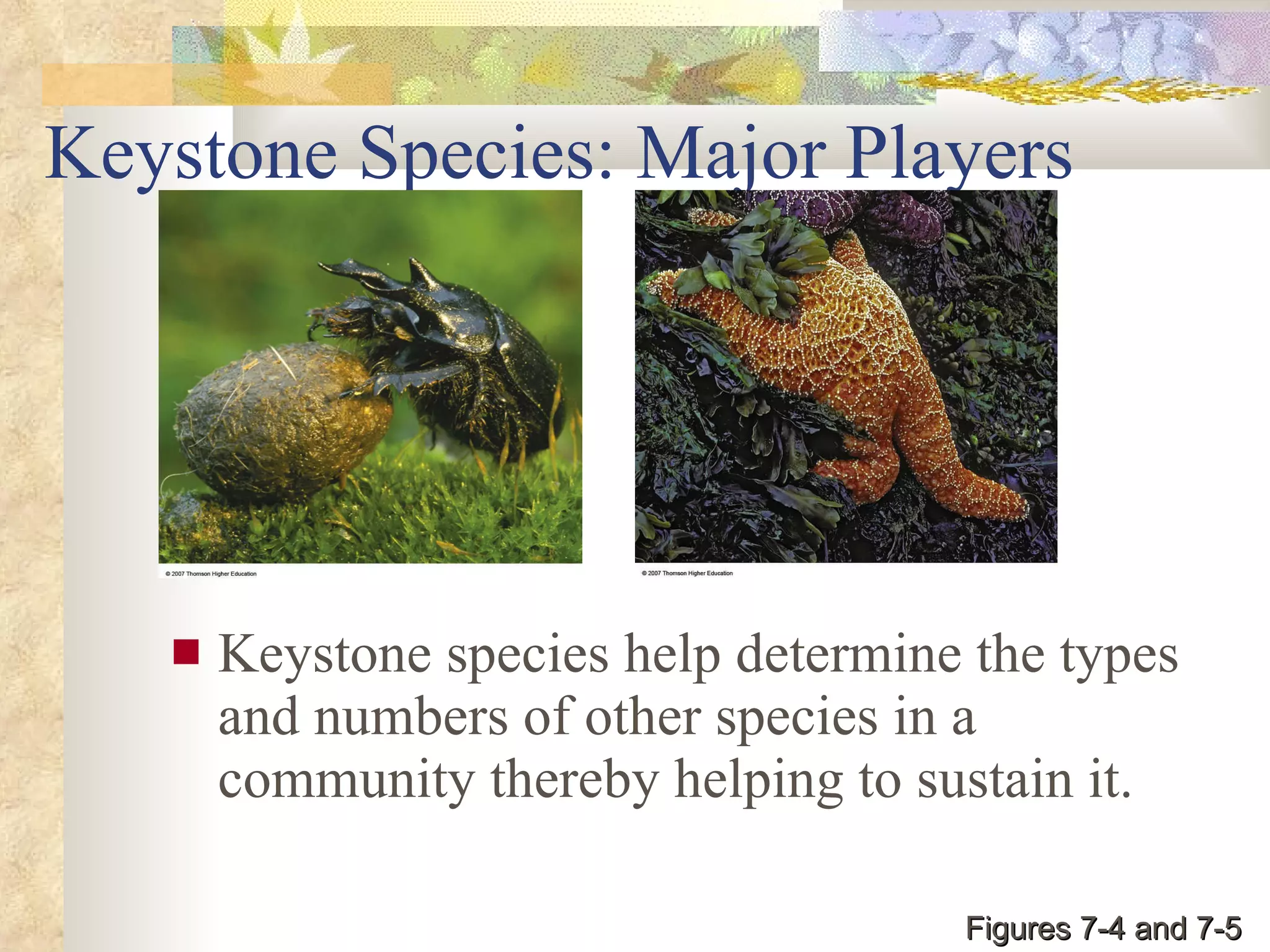 Keystone Species: Major Players Keystone species help determine the types and numbers of other species in a community thereby helping to sustain it. Figures 7-4 and 7-5 