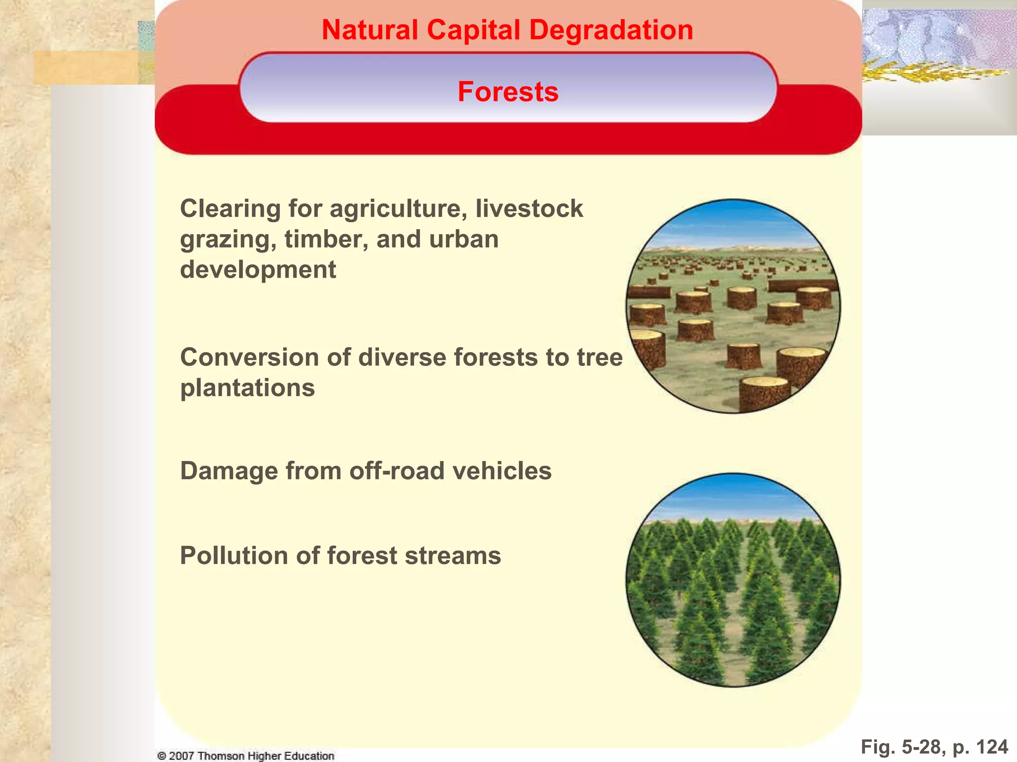Fig. 5-28, p. 124 Clearing for agriculture, livestock  grazing, timber, and urban  development Conversion of diverse forests to tree  plantations Damage from off-road vehicles Natural Capital Degradation Forests Pollution of forest streams 
