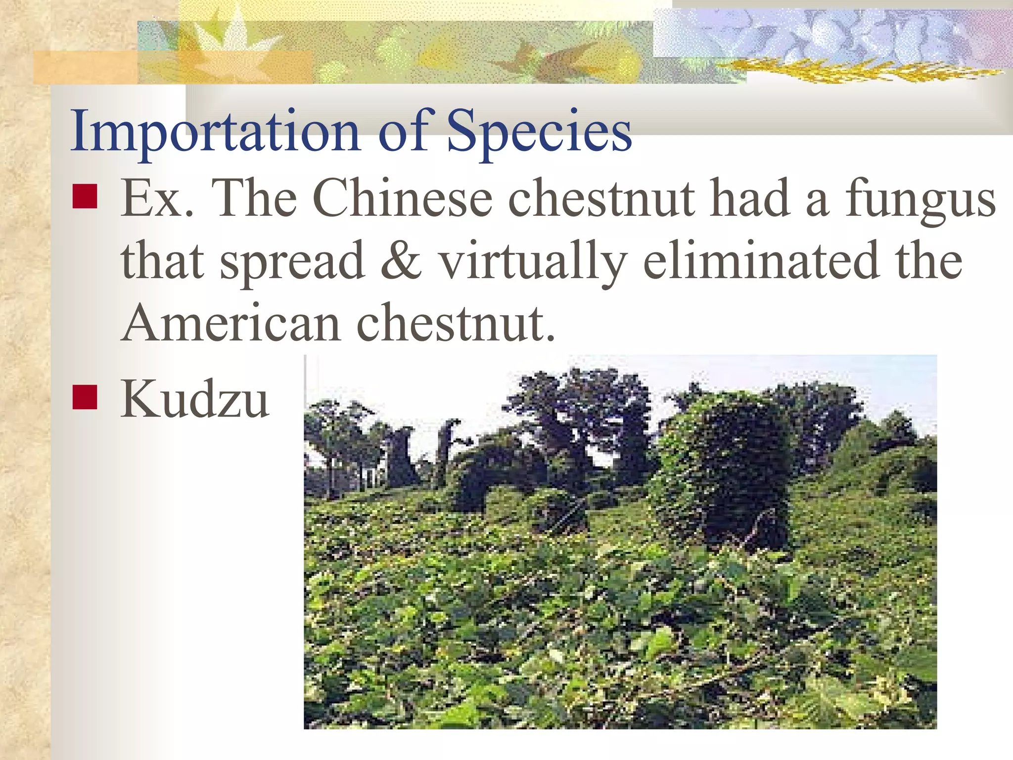 Importation of Species Ex. The Chinese chestnut had a fungus that spread & virtually eliminated the American chestnut. Kudzu                                                                                                                                                                                                                                                                                                                                                                                                                                                                