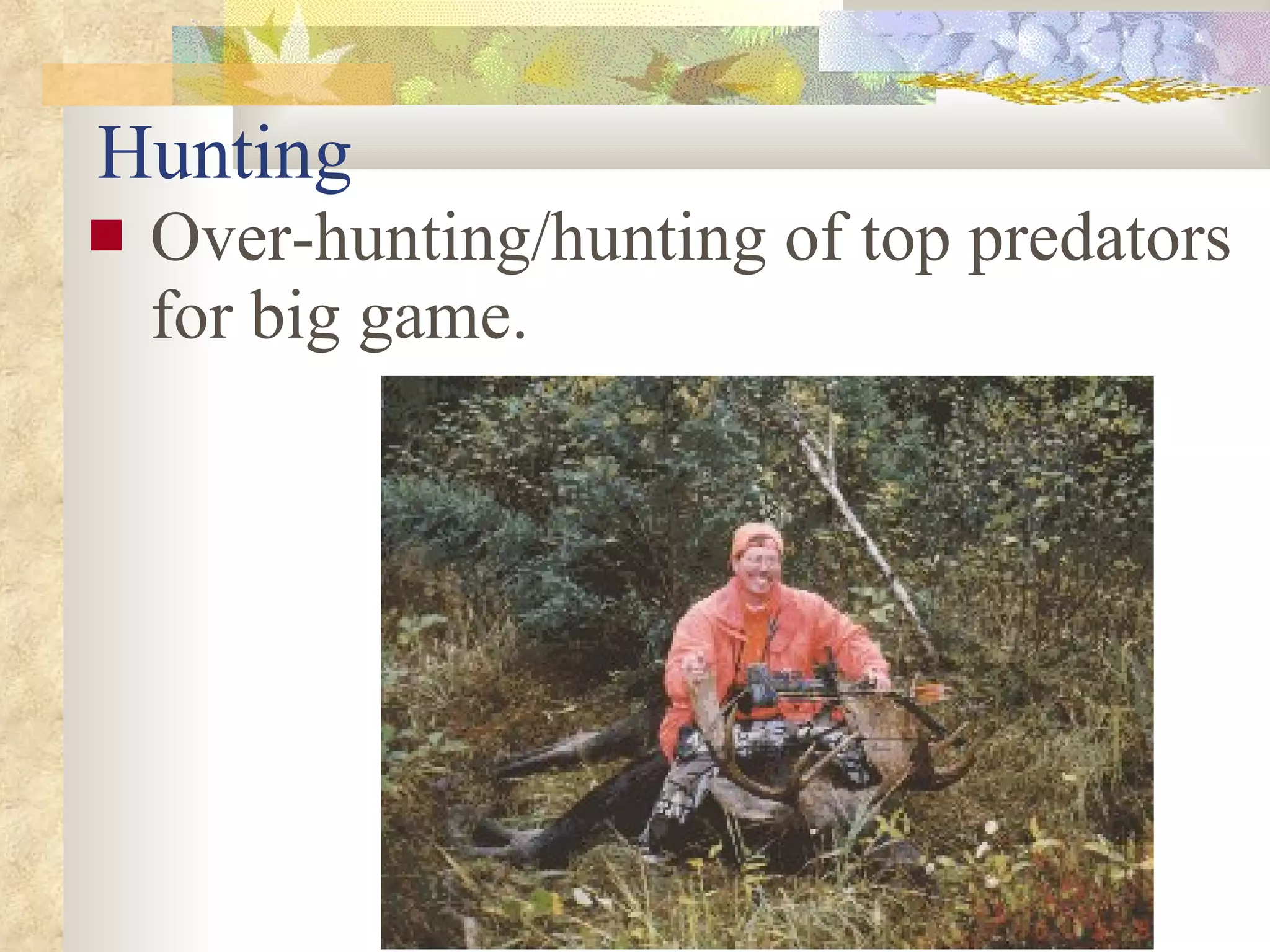 Hunting Over-hunting/hunting of top predators for big game. 
