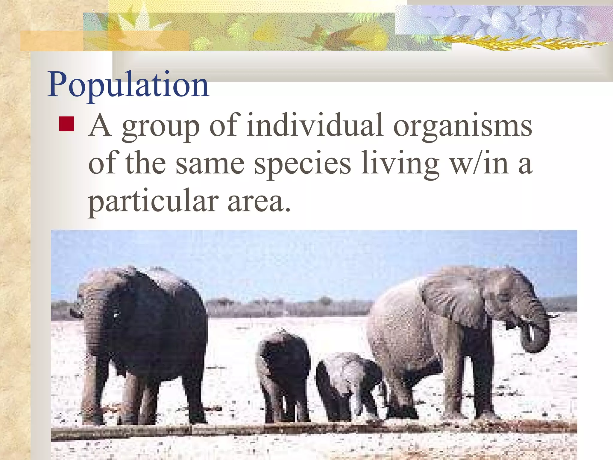 Population A group of individual organisms of the same species living w/in a particular area. 