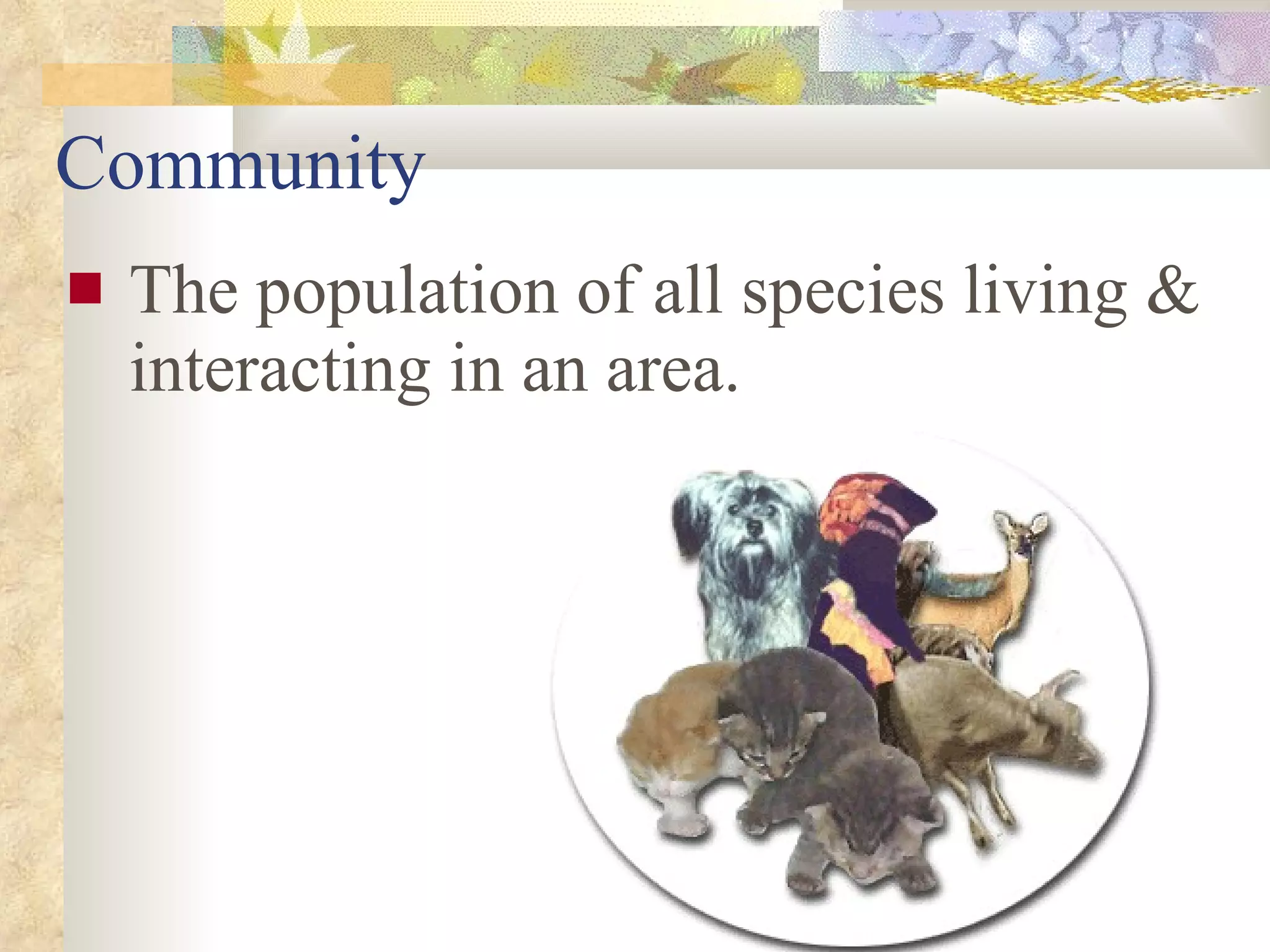 Community The population of all species living & interacting in an area.                                                   