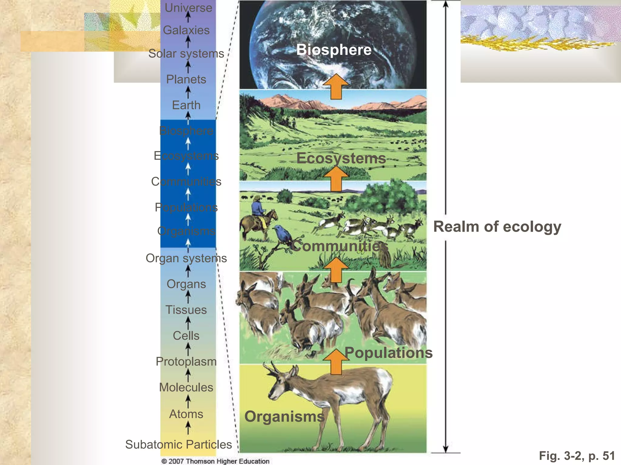 Fig. 3-2, p. 51 Communities Subatomic Particles Atoms Molecules Protoplasm Cells Tissues Organs Organ systems Organisms Populations Populations Communities Ecosystems Biosphere Earth Planets Solar systems Galaxies Universe Organisms Realm of ecology Ecosystems Biosphere 