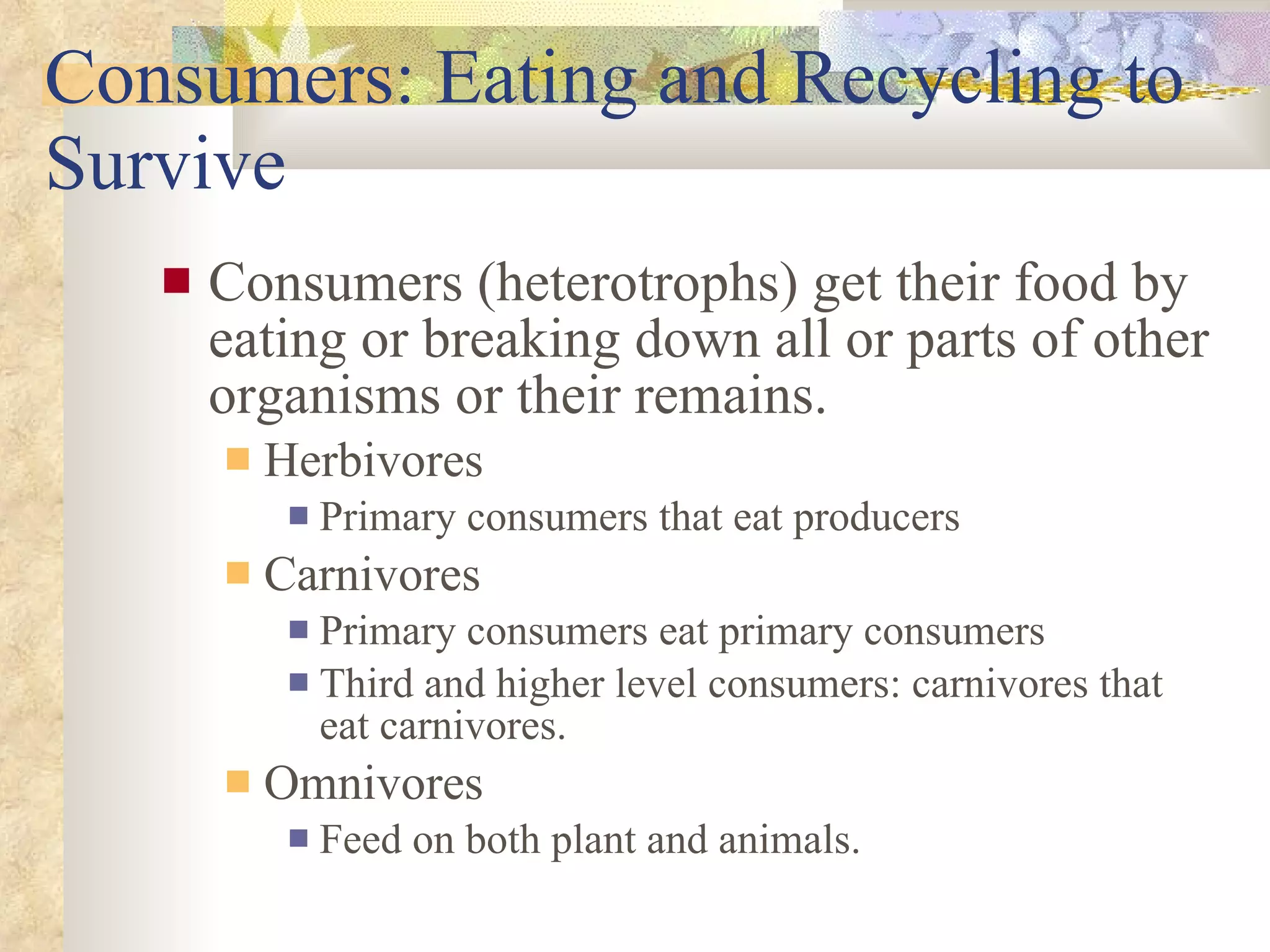 Consumers: Eating and Recycling to Survive Consumers (heterotrophs) get their food by eating or breaking down all or parts of other organisms or their remains. Herbivores Primary consumers that eat producers Carnivores Primary consumers eat primary consumers Third and higher level consumers: carnivores that eat carnivores. Omnivores Feed on both plant and animals. 