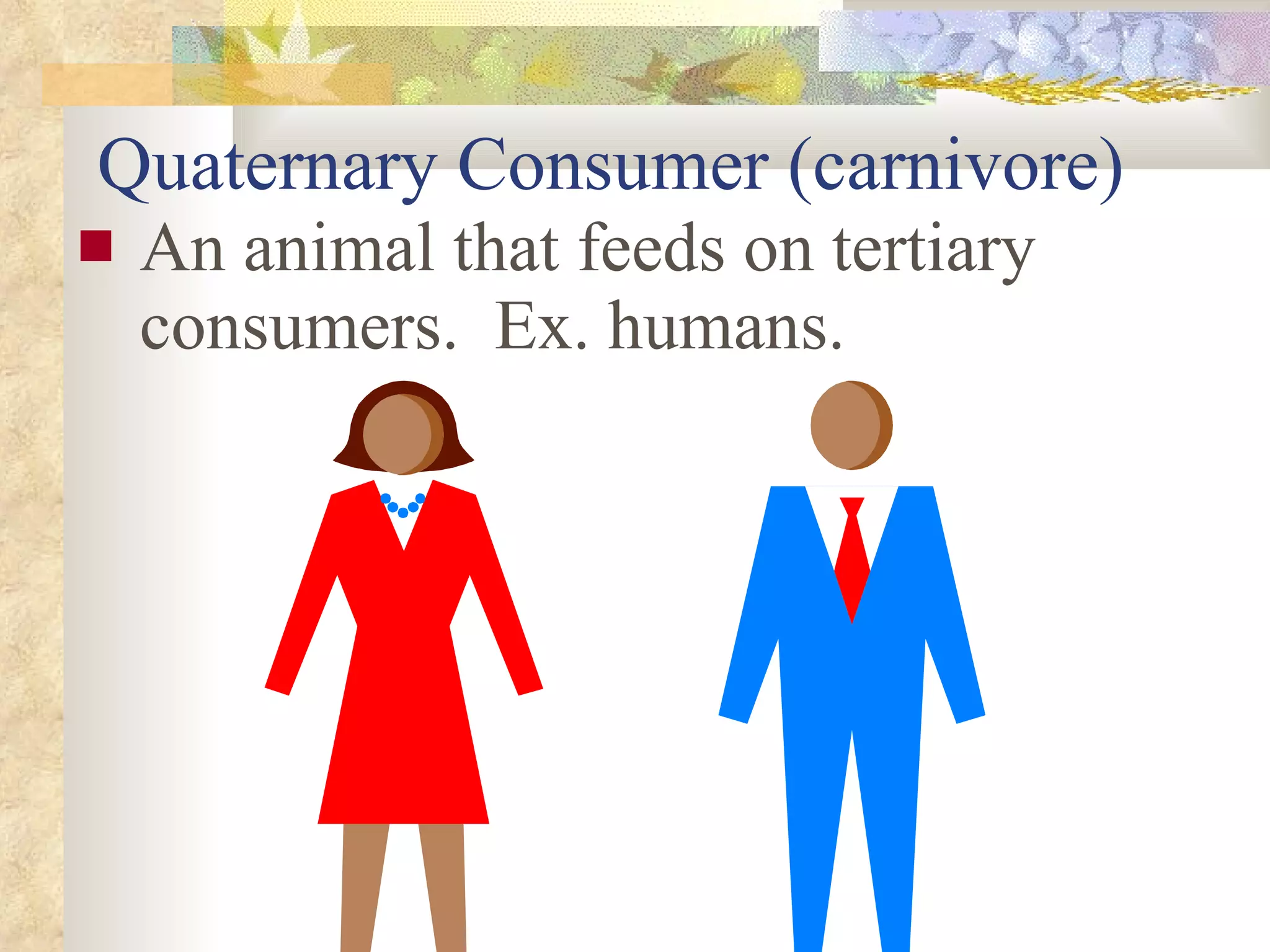 Quaternary Consumer (carnivore) An animal that feeds on tertiary consumers.  Ex. humans. 