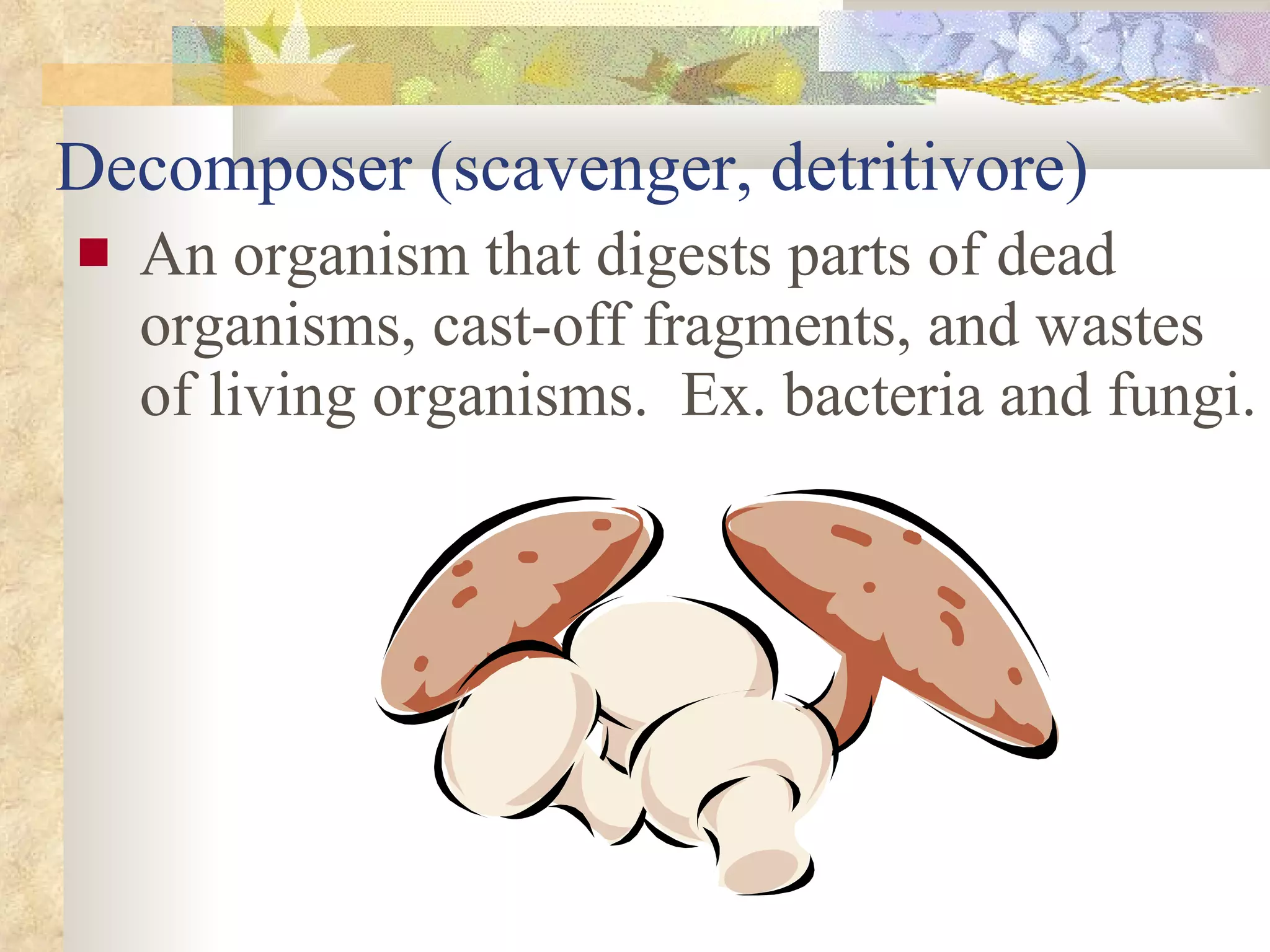 Decomposer (scavenger, detritivore) An organism that digests parts of dead organisms, cast-off fragments, and wastes of living organisms.  Ex. bacteria and fungi. 