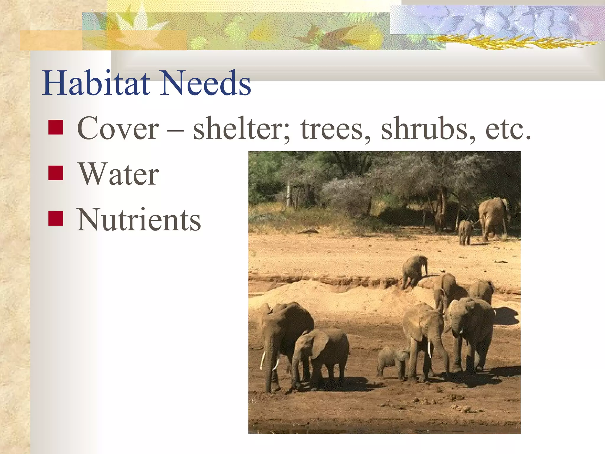 Habitat Needs Cover – shelter; trees, shrubs, etc. Water Nutrients 