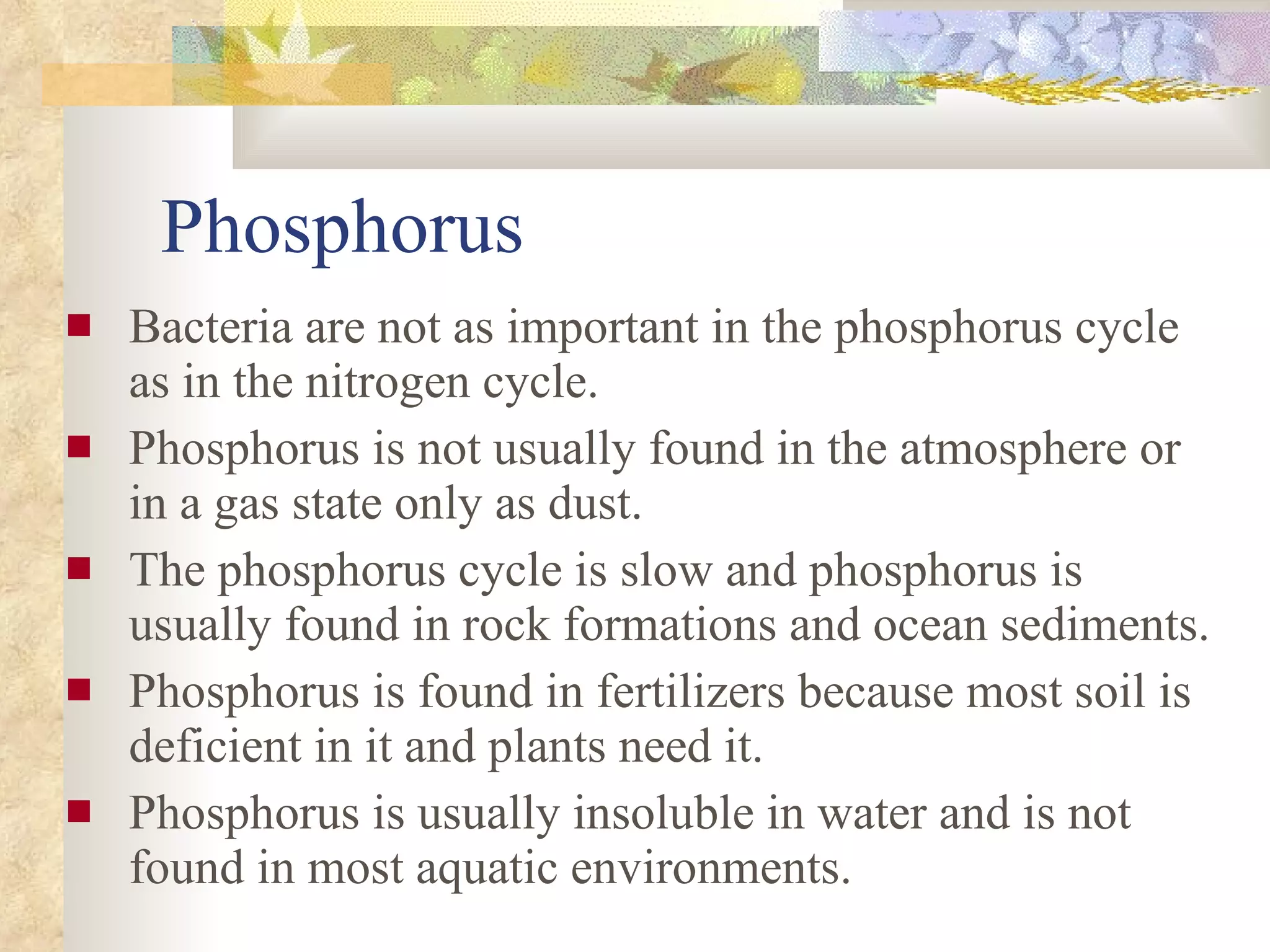 Phosphorus Bacteria are not as important in the phosphorus cycle as in the nitrogen cycle. Phosphorus is not usually found in the atmosphere or in a gas state only as dust. The phosphorus cycle is slow and phosphorus is usually found in rock formations and ocean sediments. Phosphorus is found in fertilizers because most soil is deficient in it and plants need it. Phosphorus is usually insoluble in water and is not found in most aquatic environments. 