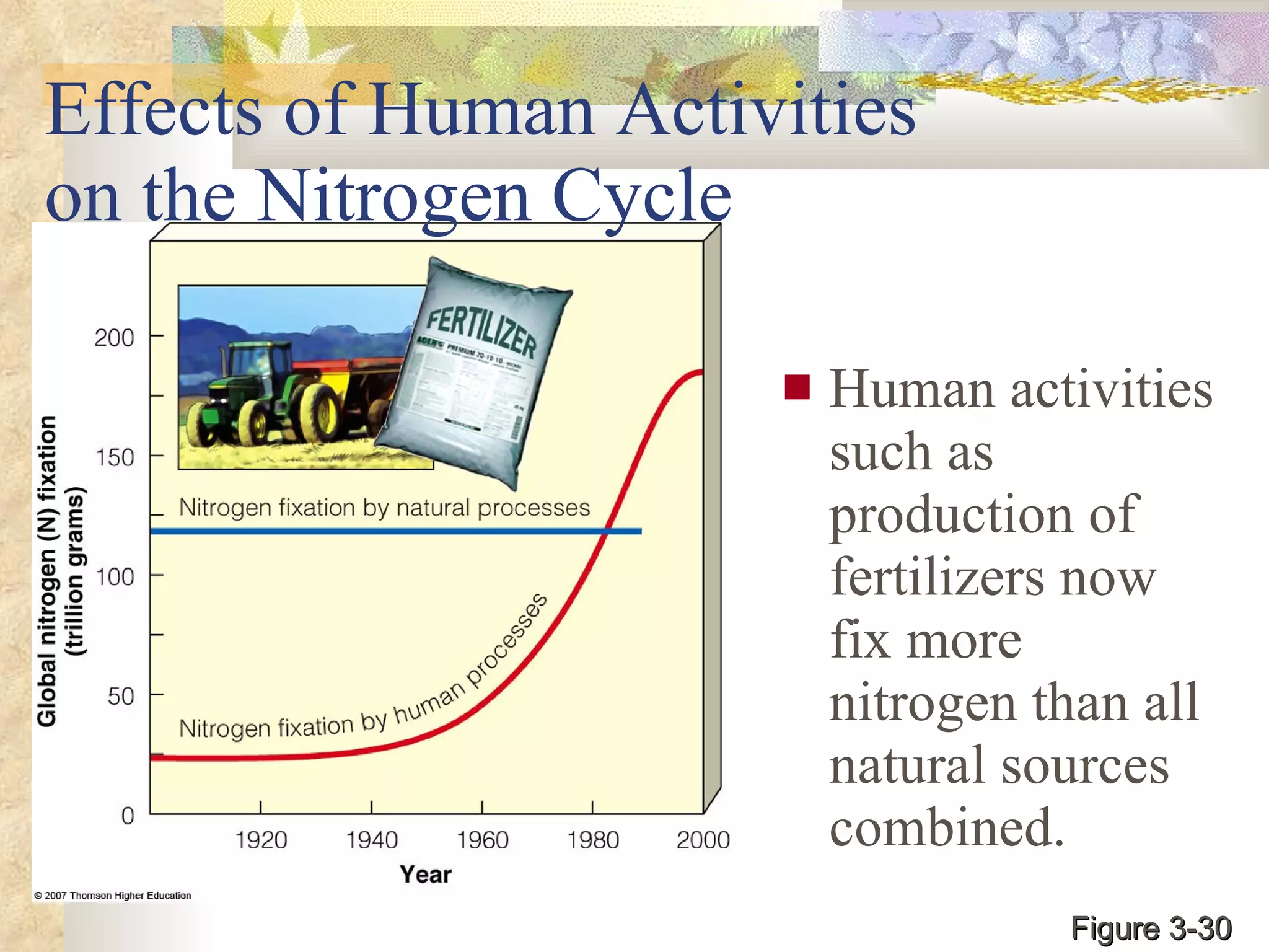 Effects of Human Activities  on the Nitrogen Cycle Human activities such as production of fertilizers now fix more nitrogen than all natural sources combined. Figure 3-30 