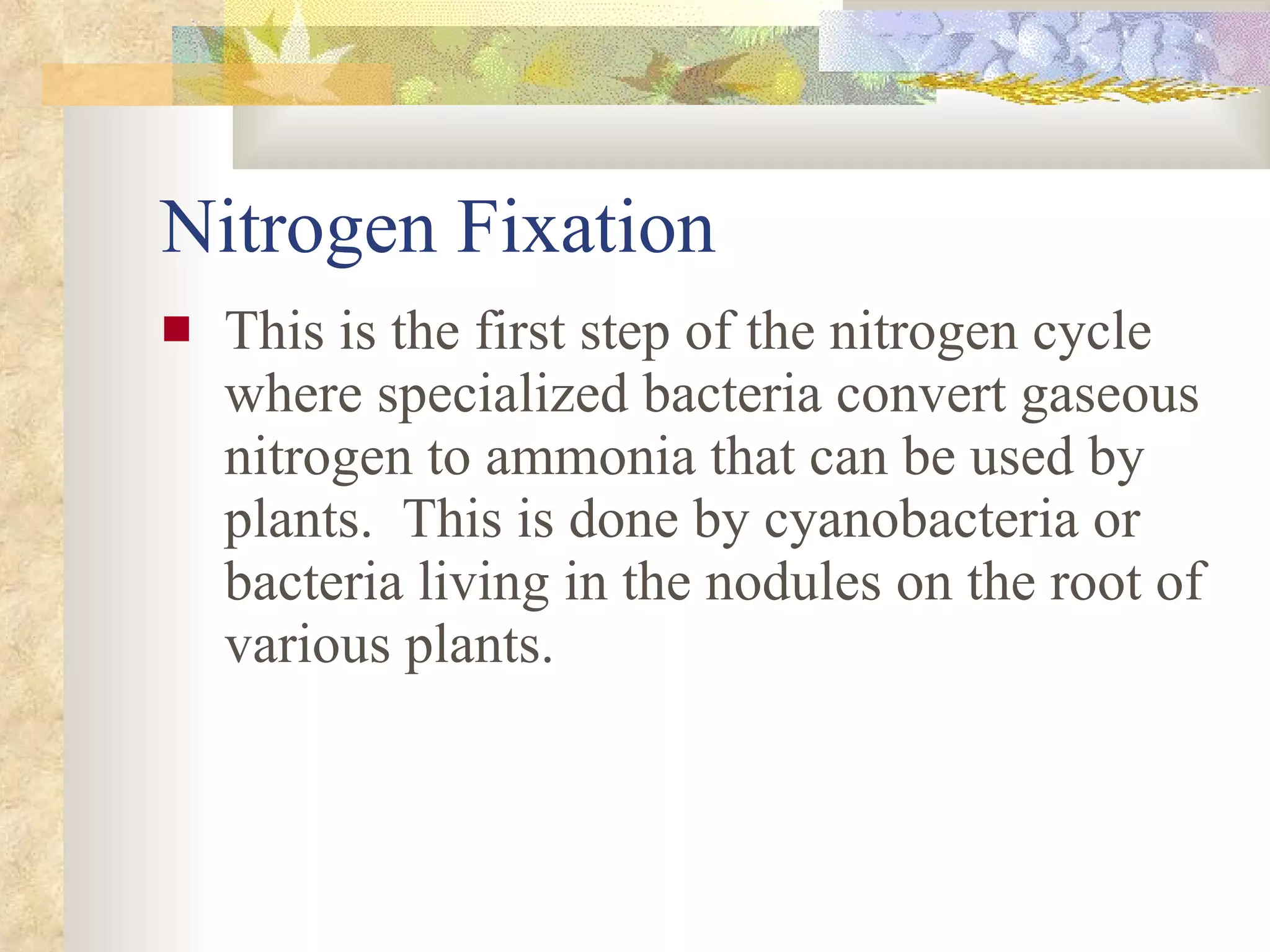 Nitrogen Fixation This is the first step of the nitrogen cycle where specialized bacteria convert gaseous nitrogen to ammonia that can be used by plants.  This is done by cyanobacteria or bacteria living in the nodules on the root of various plants. 