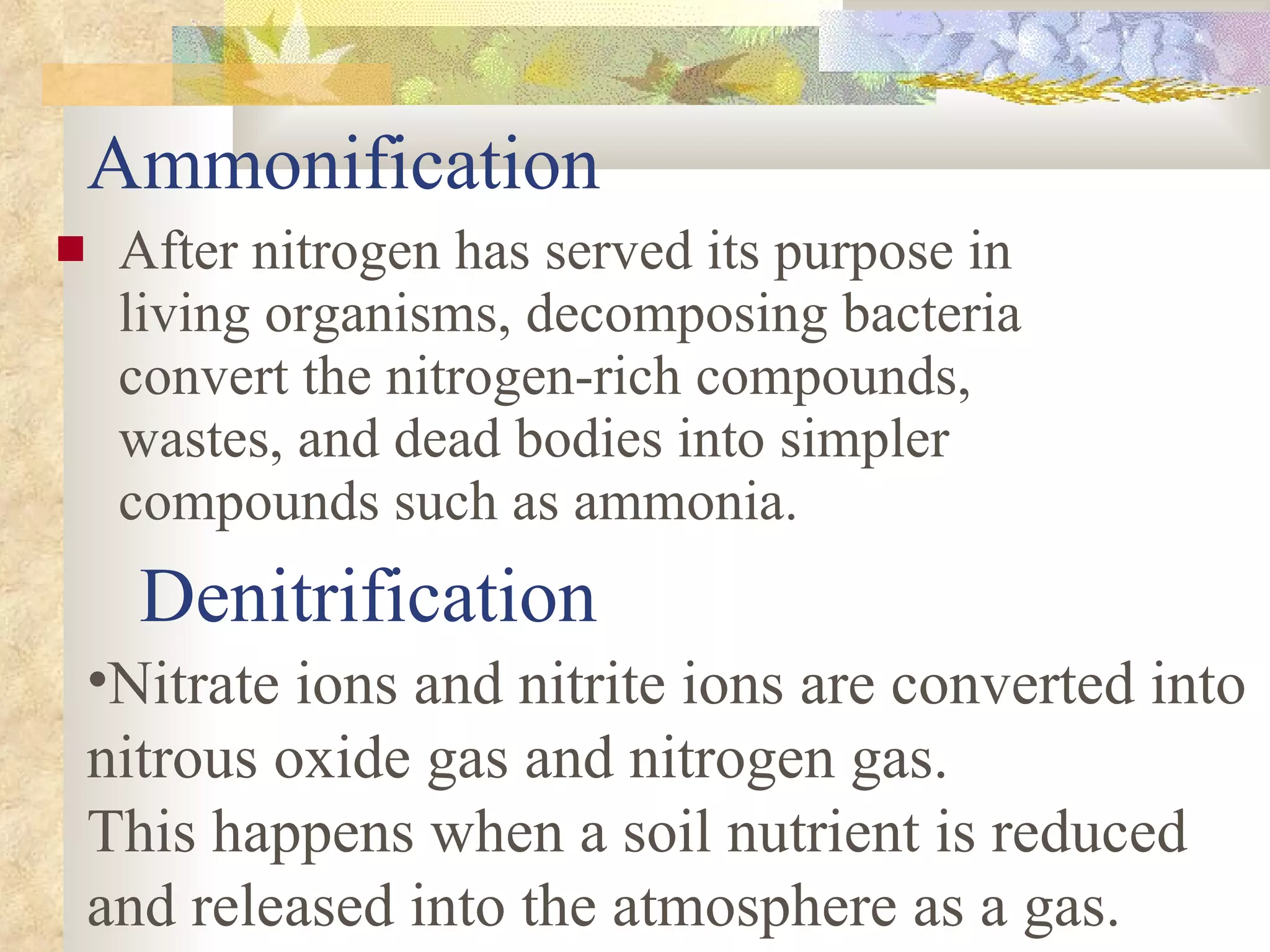 Ammonification After nitrogen has served its purpose in living organisms, decomposing bacteria convert the nitrogen-rich compounds, wastes, and dead bodies into simpler compounds such as ammonia.  Denitrification Nitrate ions and nitrite ions are converted into nitrous oxide gas and nitrogen gas. This happens when a soil nutrient is reduced and released into the atmosphere as a gas. 