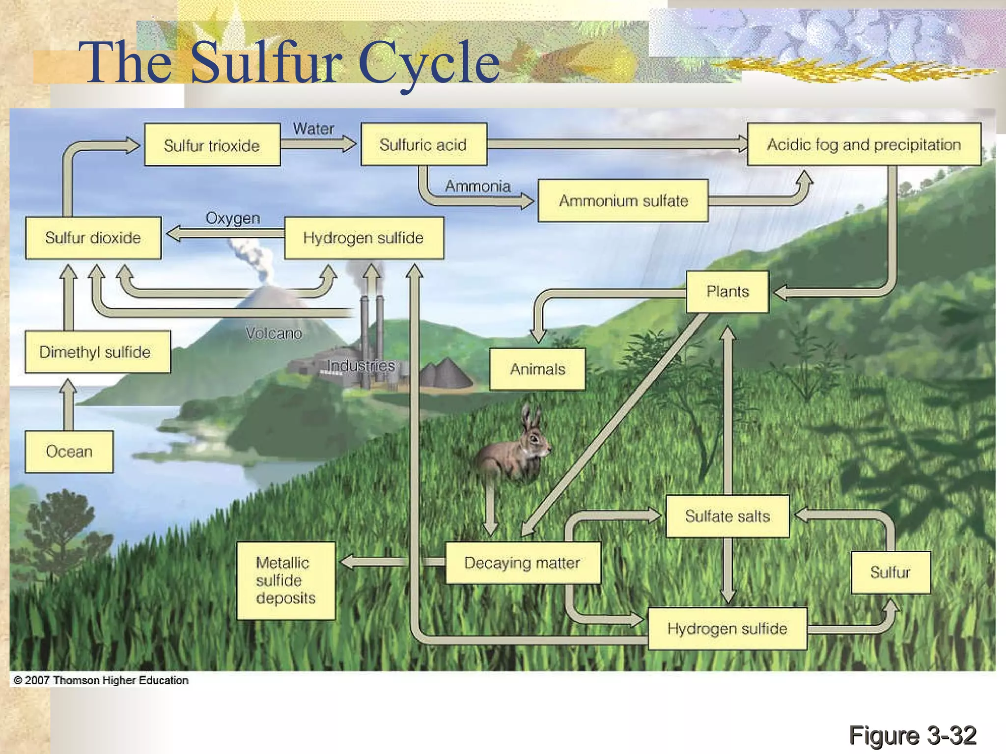 The Sulfur Cycle Figure 3-32 