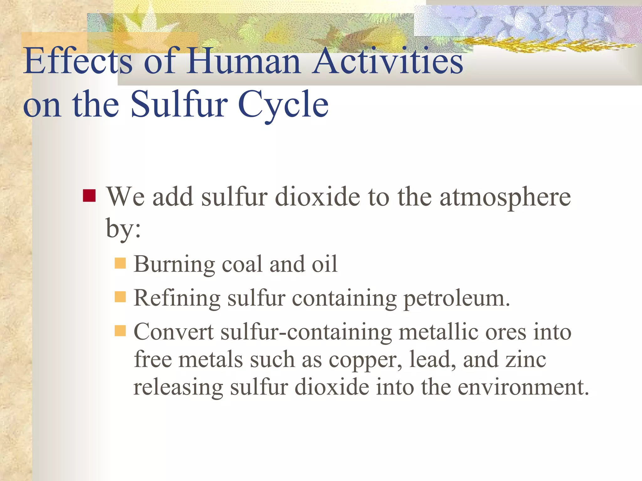 Effects of Human Activities  on the Sulfur Cycle We add sulfur dioxide to the atmosphere by: Burning coal and oil Refining sulfur containing petroleum. Convert sulfur-containing metallic ores into free metals such as copper, lead, and zinc releasing sulfur dioxide into the environment. 