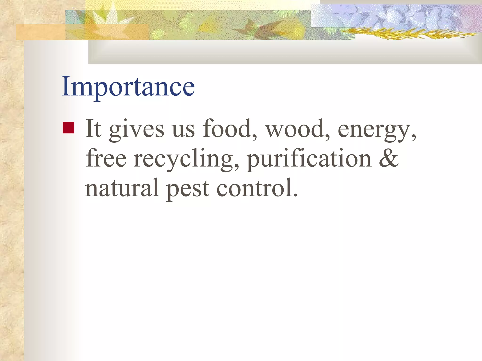Importance It gives us food, wood, energy, free recycling, purification & natural pest control. 