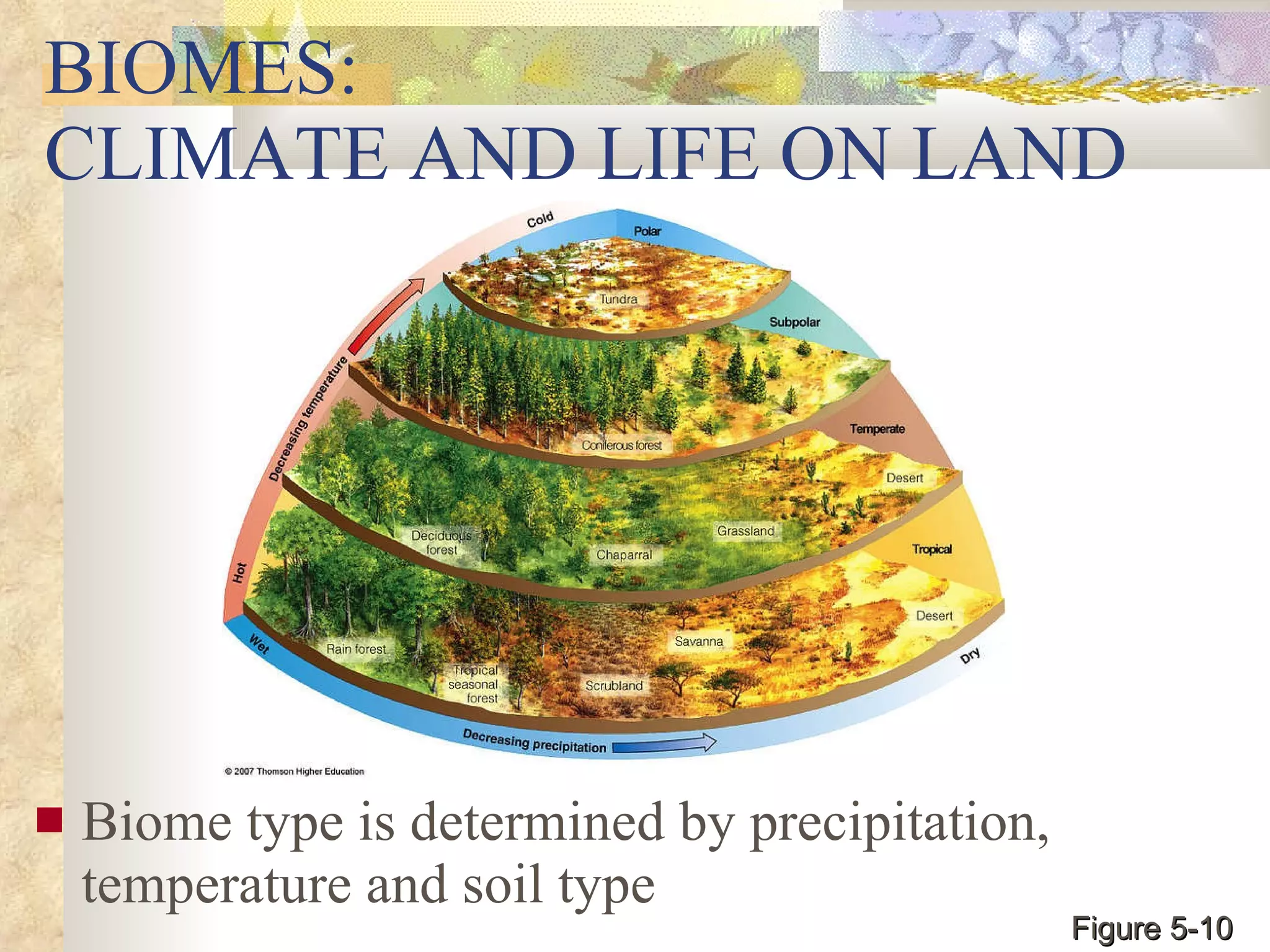 BIOMES:  CLIMATE AND LIFE ON LAND Biome type is determined by precipitation, temperature and soil type Figure 5-10 