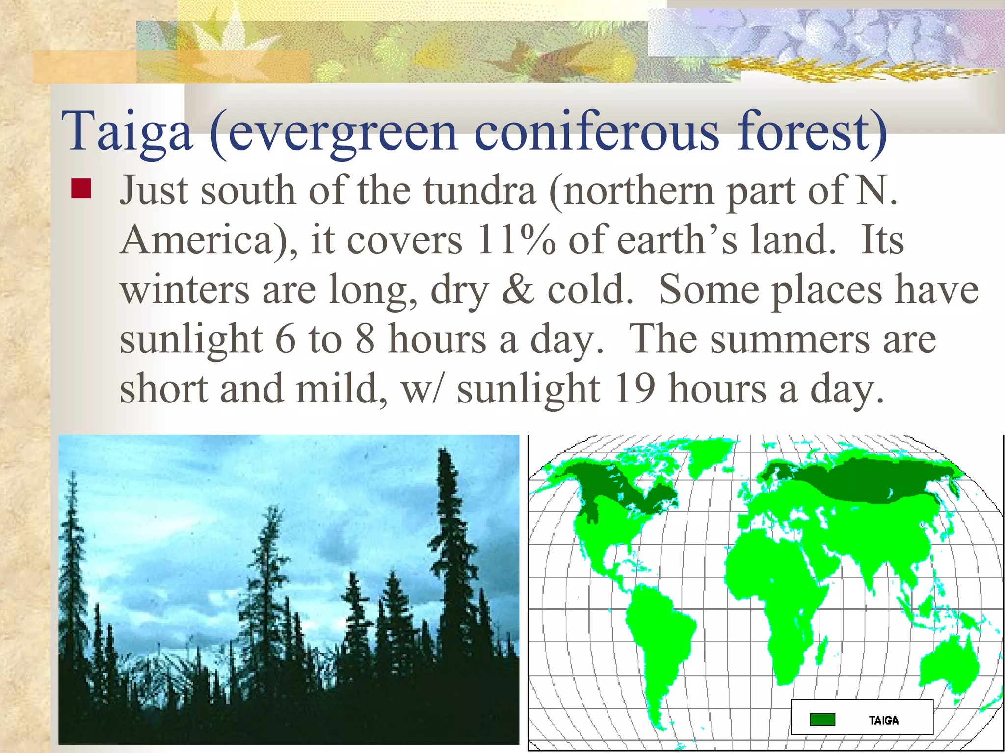 Taiga (evergreen coniferous forest) Just south of the tundra (northern part of N. America), it covers 11% of earth’s land.  Its winters are long, dry & cold.  Some places have sunlight 6 to 8 hours a day.  The summers are short and mild, w/ sunlight 19 hours a day. 