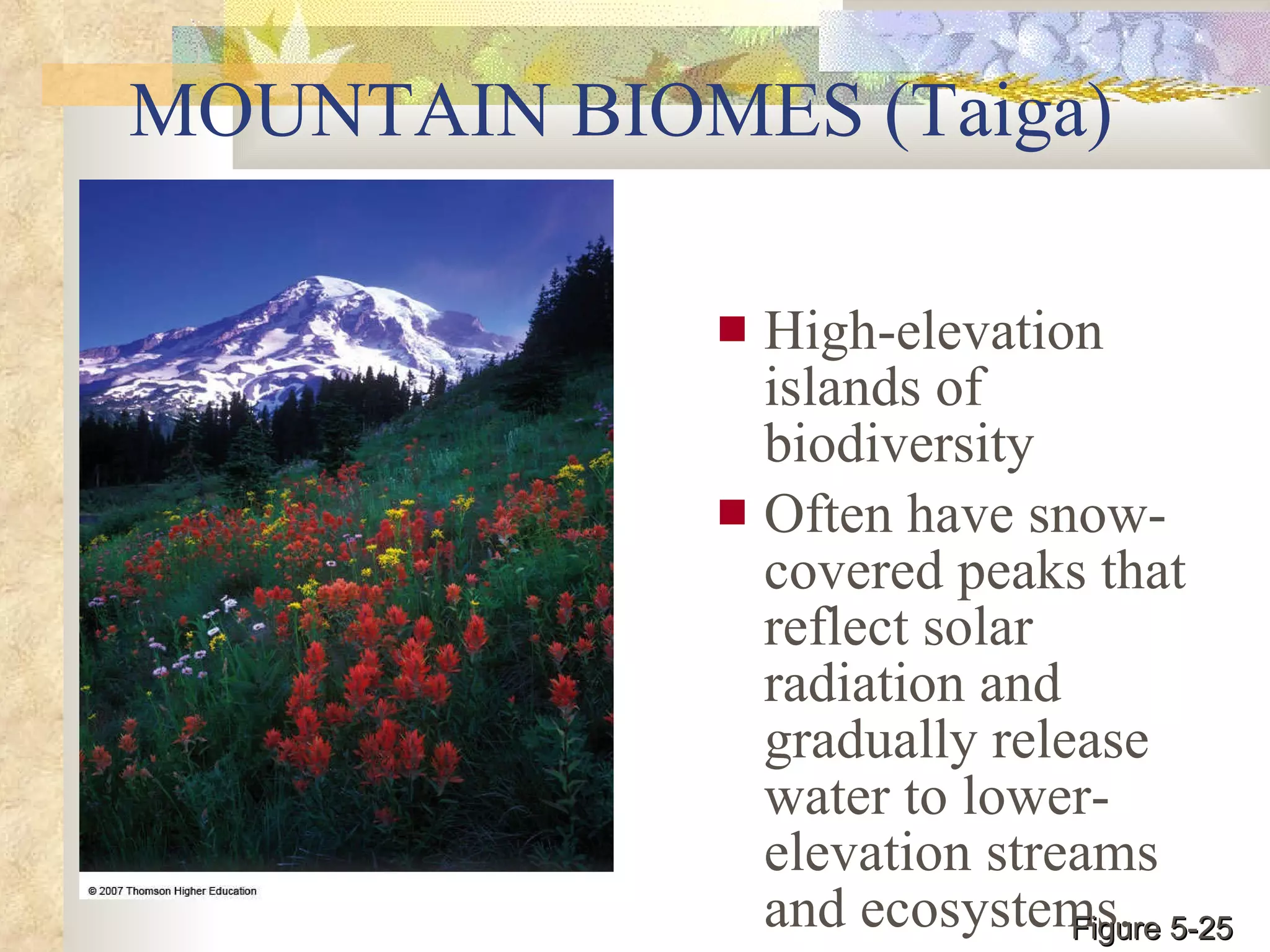 MOUNTAIN BIOMES (Taiga) High-elevation islands of biodiversity  Often have snow-covered peaks that reflect solar radiation and gradually release water to lower-elevation streams and ecosystems. Figure 5-25 