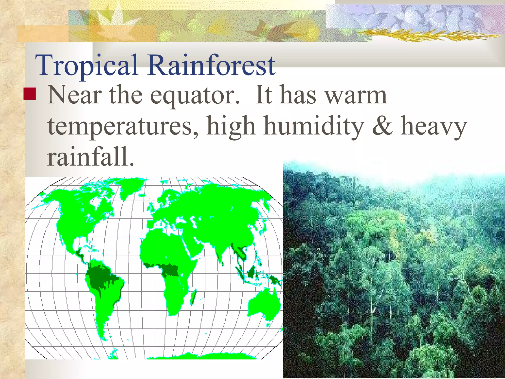 Tropical Rainforest Near the equator.  It has warm temperatures, high humidity & heavy rainfall. 