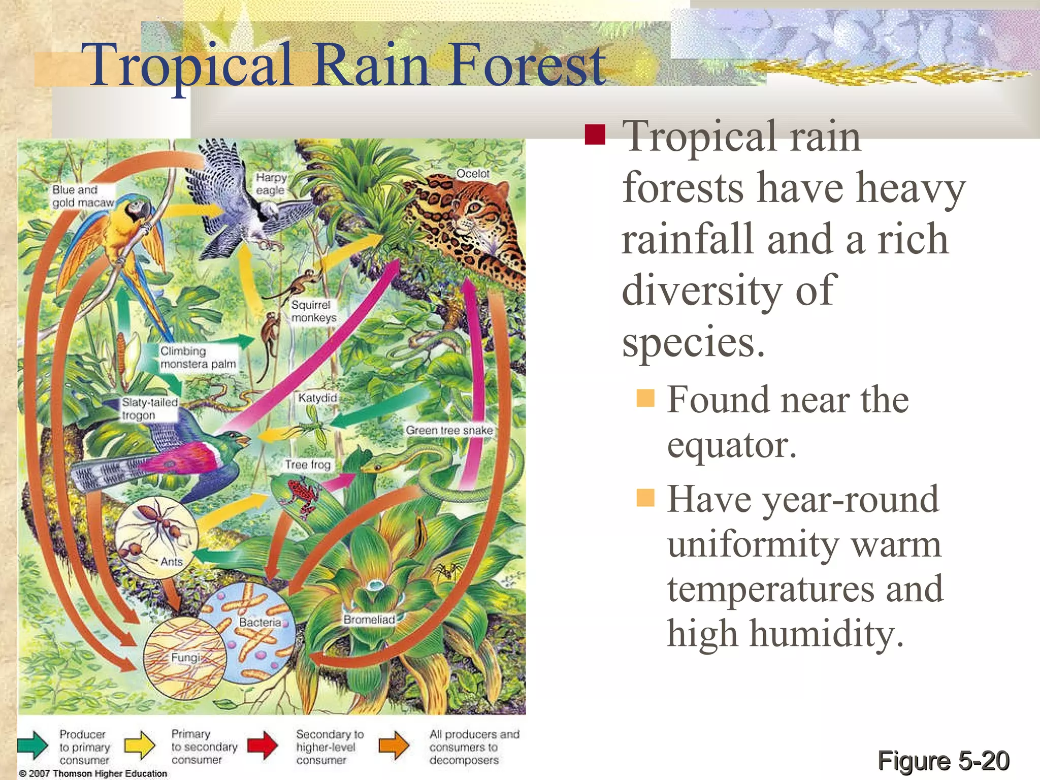 Tropical Rain Forest Tropical rain forests have heavy rainfall and a rich diversity of species. Found near the equator. Have year-round uniformity warm temperatures and high humidity. Figure 5-20 